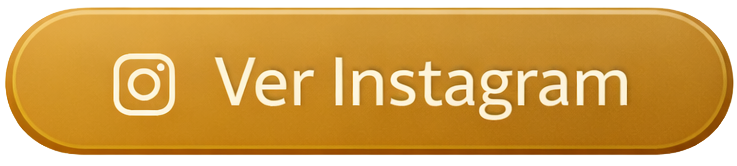 Ver Instagram.png